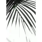 Постер книги eg_04qwert11