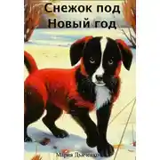 Постер книги Снежок под Новый год