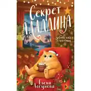 Постер книги Секрет Аладдина
