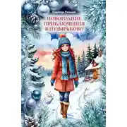 Постер книги Новогодние приключения в Пузырьково