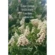 Постер книги Каштанов райских свечи зажигаю