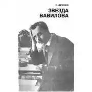 Постер книги Звезда Вавилова