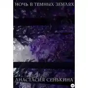 Постер книги Ночь в тёмных землях