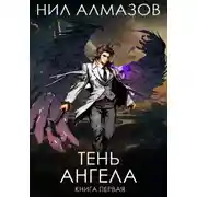 Постер книги Тень ангела. Книга 1