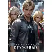 Постер книги Хейтер из рода Стужевых, том 3