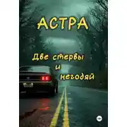 Постер книги Две стервы и негодяй