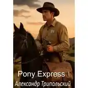 Постер книги Pony Express