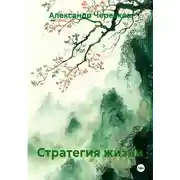 Постер книги Стратегия жизни