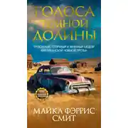 Постер книги Голоса темной долины