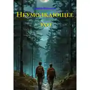 Постер книги Неумолкающее эхо