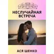 Постер книги Неслучайная встреча