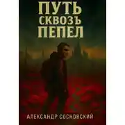 Постер книги Путь сквозь пепел
