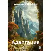 Постер книги Адаптация