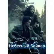 Постер книги Небесный Байкер