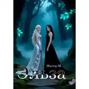 Постер книги Эльза