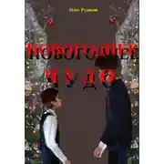 Постер книги Новогоднее чудо
