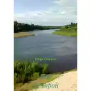 Постер книги Под Печорой