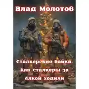 Постер книги Сталкерские байки. Как сталкеры за ëлкой ходили