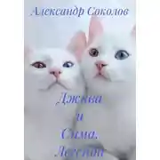 Постер книги Джива и Сима. Легенда о Као-мани