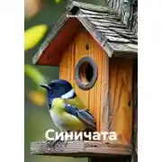 Постер книги Синичата