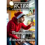 Постер книги Попаданец в холодильник