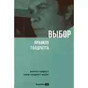 Постер книги Выбор. Правила Голдратта