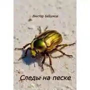 Постер книги Следы на песке
