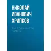 Постер книги Той деревни нет в помине