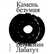 Постер книги Камень безумия