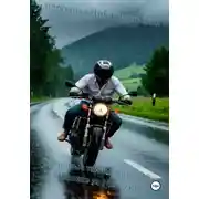 Постер книги Семейные тайны. Книга 13. «Мышка» из Мышкина