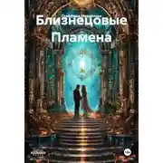 Постер книги Близнецовые Пламена