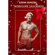 Постер книги Мороз не заходил?