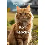 Постер книги Кот Персик