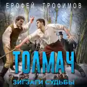 Постер книги Толмач. Зигзаги судьбы