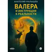 Постер книги ВАЛЕРА И ИНСТРУКЦИЯ К РЕАЛЬНОСТИ