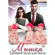 Постер книги Мышка. Тройное чудо для босса