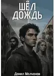 Данил Молчанов - Шел дождь
