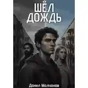 Постер книги Шел дождь