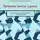 Елена Николаева - Личные числа удачи. Из серии: персональный нумероскоп