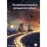 Постер книги Волшебные коньки и похищенное время