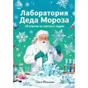 Постер книги Лаборатория Деда Мороза. 20 опытов со снегом и льдом