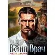 Постер книги Воин-Врач VI