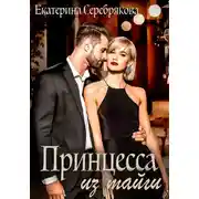 Постер книги Принцесса из тайги