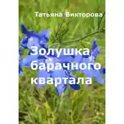 Постер книги Золушка барачного квартала
