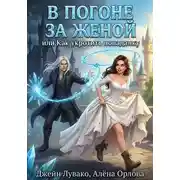 Постер книги В погоне за женой, или Как укротить попаданку