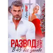 Постер книги Развод под ёлку. В 45 все заново