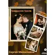 Постер книги Притяжение Чувств. Роман в двух книгах