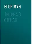 Егор Мун - Тишина в стенах