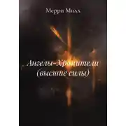 Постер книги Ангелы-Хранители (высшие силы)