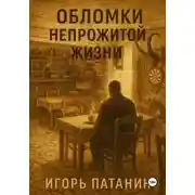 Постер книги Обломки непрожитой жизни